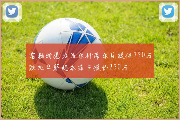 富勒姆愿为马尔科席尔瓦提供750万欧元年薪超本菲卡报价250万